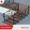 Cầu thang sắt CTS-13