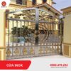 Cửa inox CKHNCI-20
