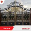 Cửa inox CKHNCI-23