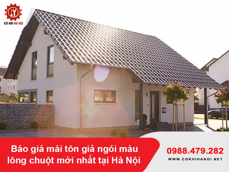 Báo giá mái tôn giả ngói màu lông chuột mới nhất tại Hà Nội