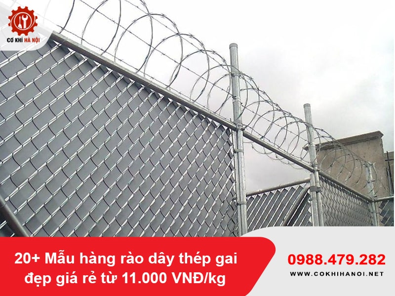 20+ Mẫu hàng rào dây thép gai đẹp giá rẻ từ 11.000 VNĐ/kg