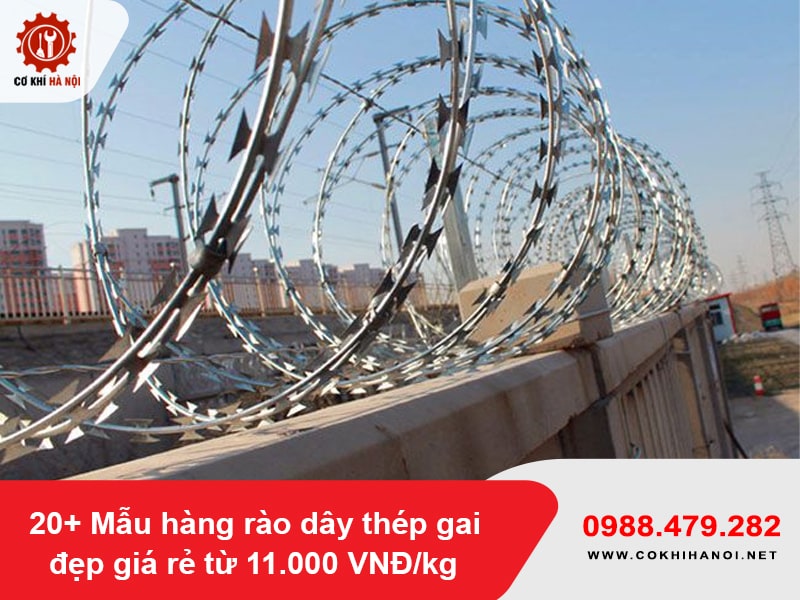 20+ Mẫu hàng rào dây thép gai đẹp giá rẻ từ 11.000 VNĐ/kg