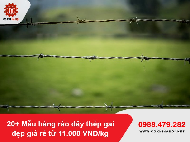 20+ Mẫu hàng rào dây thép gai đẹp giá rẻ từ 11.000 VNĐ/kg