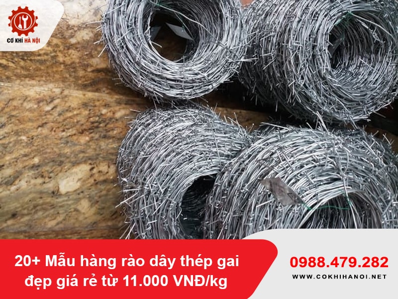 20+ Mẫu hàng rào dây thép gai đẹp giá rẻ từ 11.000 VNĐ/kg