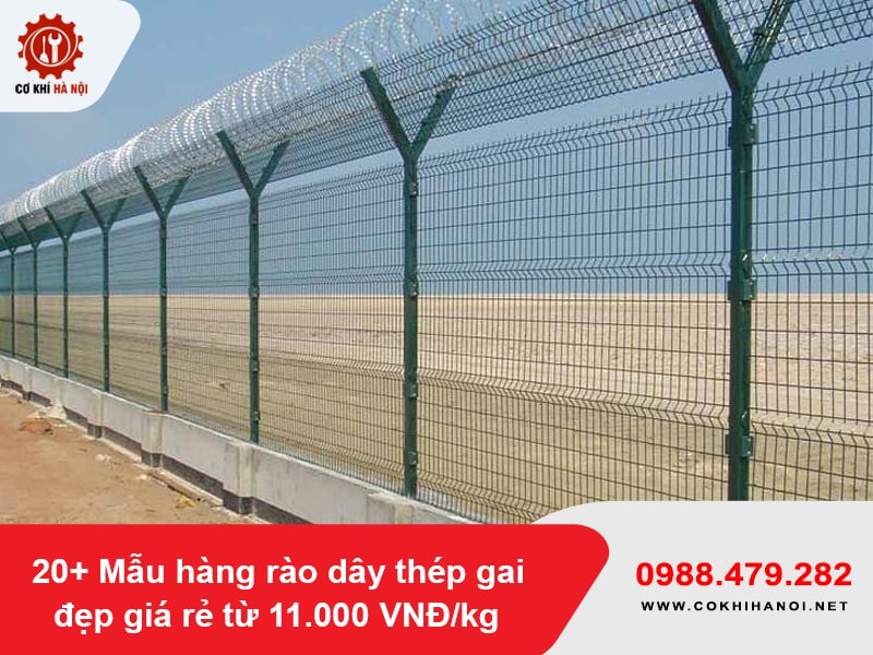 20+ Mẫu hàng rào dây thép gai đẹp giá rẻ từ 11.000 VNĐ/kg