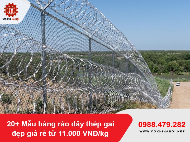 20+ Mẫu hàng rào dây thép gai đẹp giá rẻ từ 11.000 VNĐ/kg