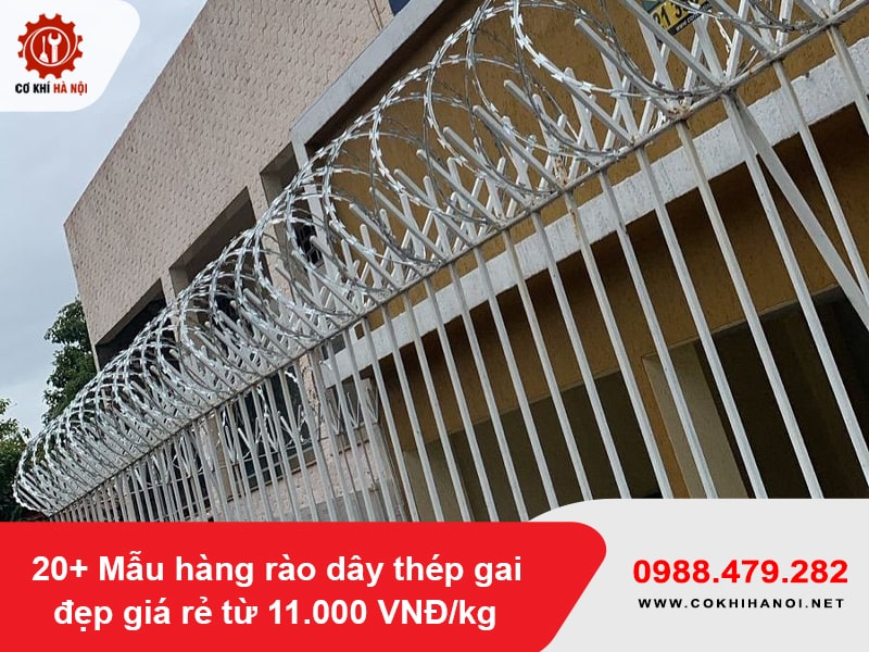 20+ Mẫu hàng rào dây thép gai đẹp giá rẻ từ 11.000 VNĐ/kg