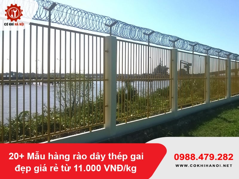 20+ Mẫu hàng rào dây thép gai đẹp giá rẻ từ 11.000 VNĐ/kg