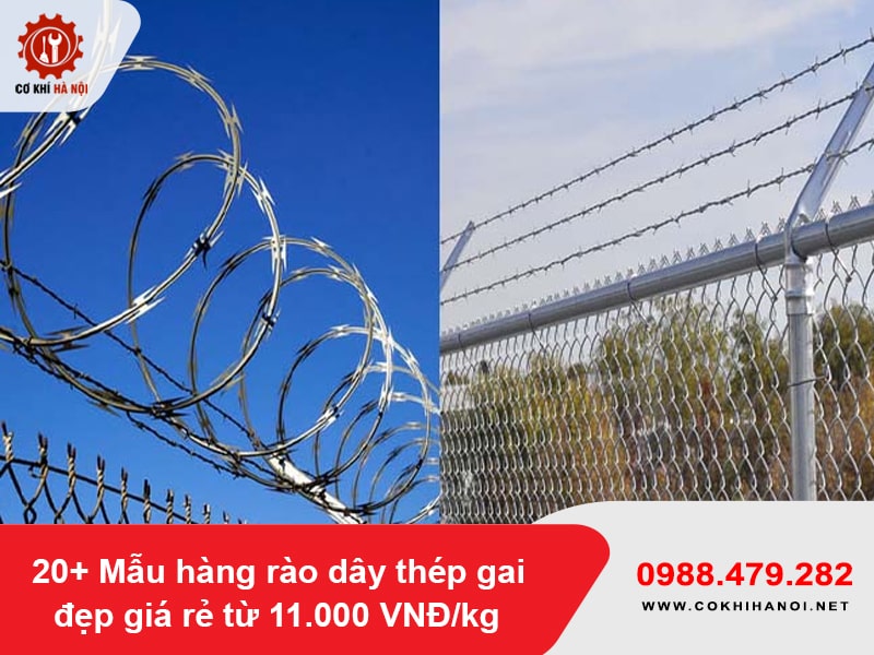 20+ Mẫu hàng rào dây thép gai đẹp giá rẻ từ 11.000 VNĐ/kg