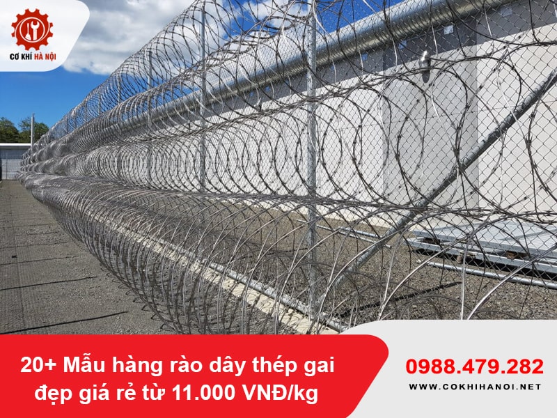 20+ Mẫu hàng rào dây thép gai đẹp giá rẻ từ 11.000 VNĐ/kg