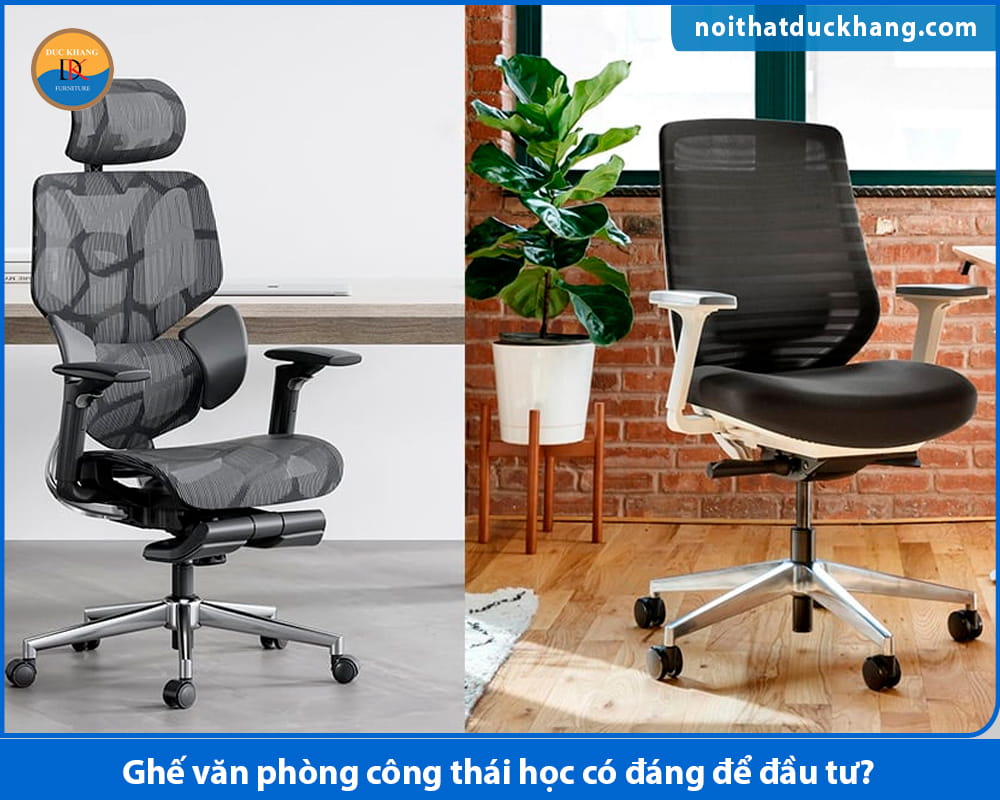 Ghế văn phòng công thái học có đáng để đầu tư? Ghế văn phòng công thái học có đáng để đầu tư?